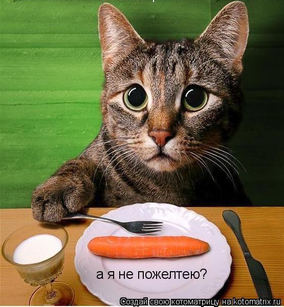 а я не пожелтею?... Котоматрица: а я не пожелтею?
