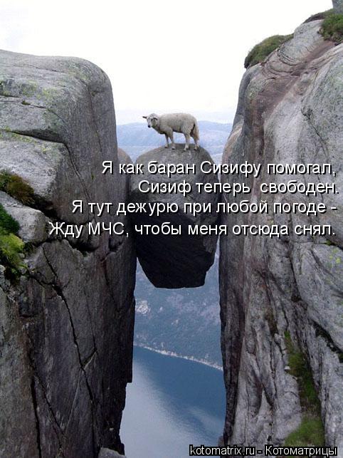 Я как баран Сизифу помогал, Сизиф теперь свободен. Я тут дежурю при любой погоде - Жду МЧС, чтобы м... Котоматрица: Я как баран Сизифу помогал, Сизиф теперь свободен. Я тут дежурю при любой погоде - Жду МЧС, чтобы меня отсюда снял.
