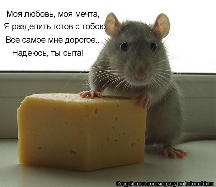 Моя любовь, моя мечта, Я разделить готов с тобою Все самое мне дорогое... Надеюсь, ты сыта!... Котоматрица: Моя любовь, моя мечта, Я разделить готов с тобою Все самое мне дорогое... Надеюсь, ты сыта!
