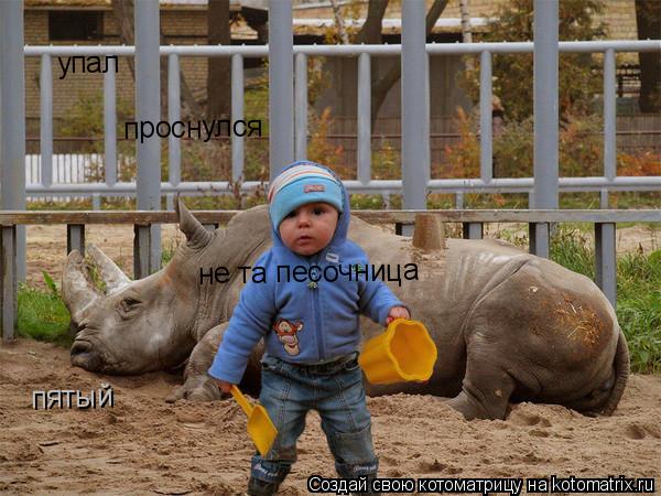 упал проснулся не та песочница пятый... Котоматрица: упал проснулся не та песочница пятый