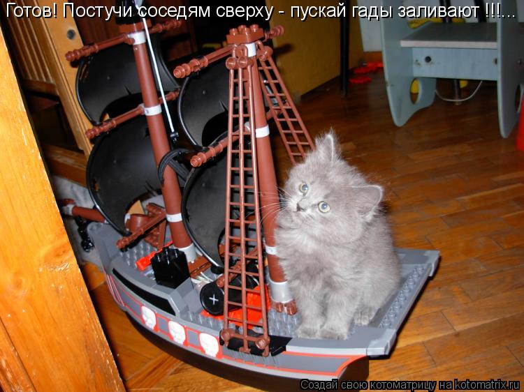 Готов! Постучи соседям сверху - пускай гады заливают !!!...... Котоматрица: Готов! Постучи соседям сверху - пускай гады заливают !!!...