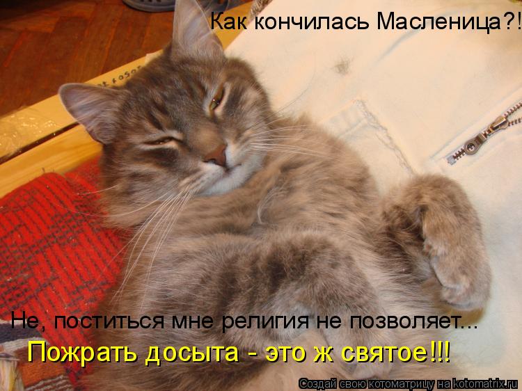 Как кончилась Масленица?! Не, поститься мне религия не позволяет... Пожрать досыта - это ж святое!!!... Котоматрица: Как кончилась Масленица?! Не, поститься мне религия не позволяет... Пожрать досыта - это ж святое!!!