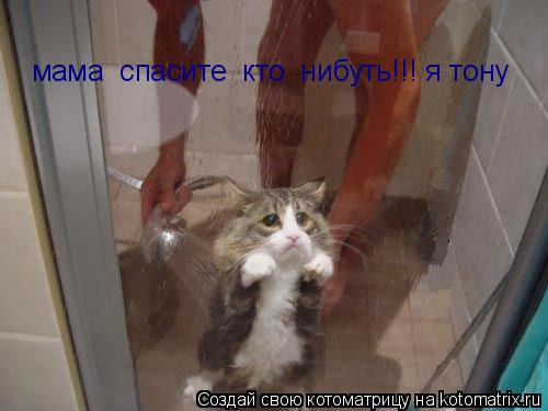 мама спасите мама спасите кто нибуть!!! я тону... Котоматрица: мама спасите мама спасите кто нибуть!!! я тону