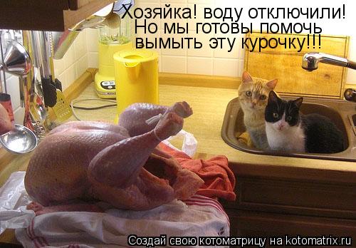 Хозяйка! воду отключили! Но мы готовы помочь вымыть эту курочку!!!... Котоматрица: Хозяйка! воду отключили! Но мы готовы помочь вымыть эту курочку!!!