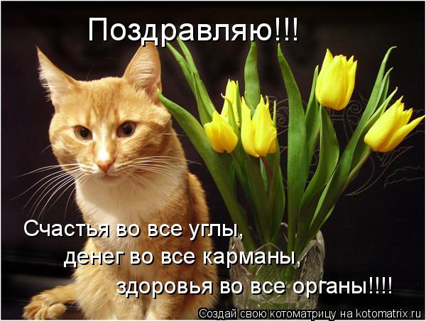 Поздравляю!!! Счастья во все углы, денег во все карманы, здоровья во все органы!!!!... Котоматрица: Поздравляю!!! Счастья во все углы, денег во все карманы, здоровья во все органы!!!!