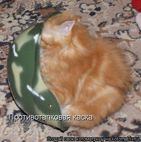 Противотапковая каска... Котоматрица: Противотапковая каска