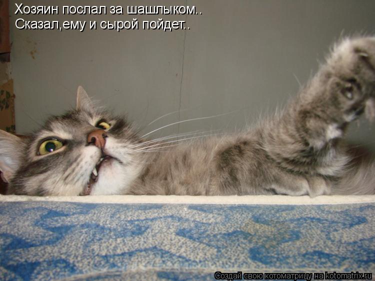 Хозяин послал за шашлыком.. Сказал,ему и сырой пойдет..... Котоматрица: Хозяин послал за шашлыком.. Сказал,ему и сырой пойдет..