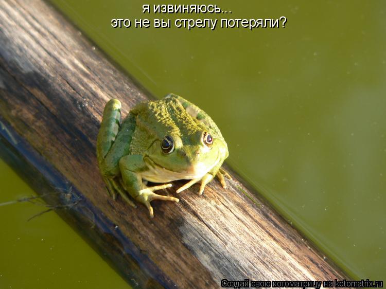 я извиняюсь... это не вы стрелу потеряли?... Котоматрица: я извиняюсь... это не вы стрелу потеряли?