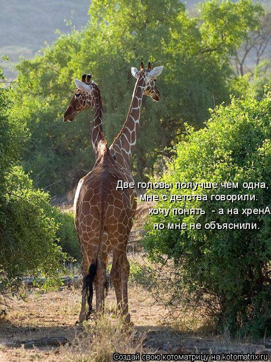 Две головы получше чем одна, мне с детства говорили. хочу понять - а на хренА, но мне не объяснили.... Котоматрица: Две головы получше чем одна, мне с детства говорили. хочу понять - а на хренА, но мне не объяснили.