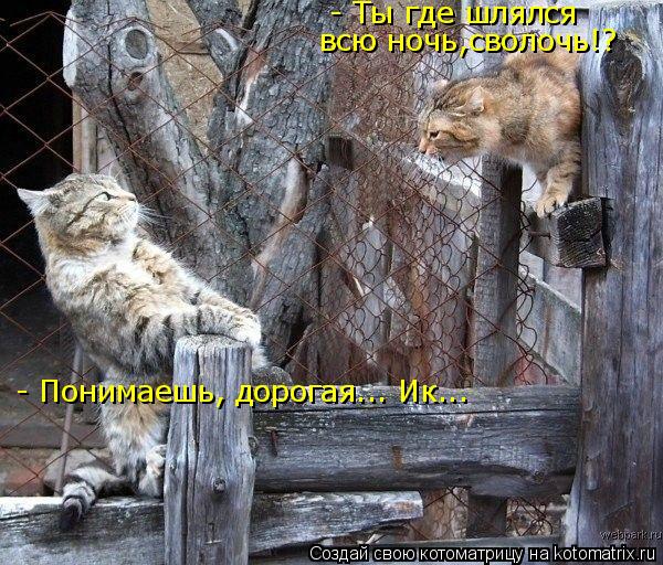 - Понимаешь, дорогая... Ик... всю ночь,сволочь!? - Ты где шлялся... Котоматрица: - Понимаешь, дорогая... Ик... всю ночь,сволочь!? - Ты где шлялся