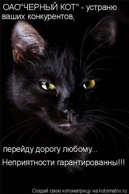 ОАО"ЧЕРНЫЙ КОТ" - устраню ваших конкурентов, перейду дорогу любому... Неприятности гарантированны!!!... Котоматрица: ОАО"ЧЕРНЫЙ КОТ" - устраню ваших конкурентов, перейду дорогу любому... Неприятности гарантированны!!!