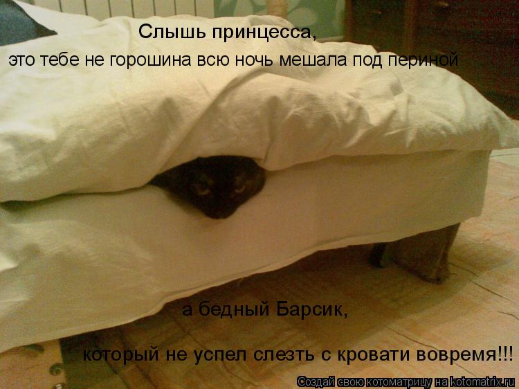 Слышь принцесса, это тебе не горошина всю ночь мешала под периной а бедный Барсик, который не успел... Котоматрица: Слышь принцесса, это тебе не горошина всю ночь мешала под периной а бедный Барсик, который не успел слезть с кровати вовремя!!!