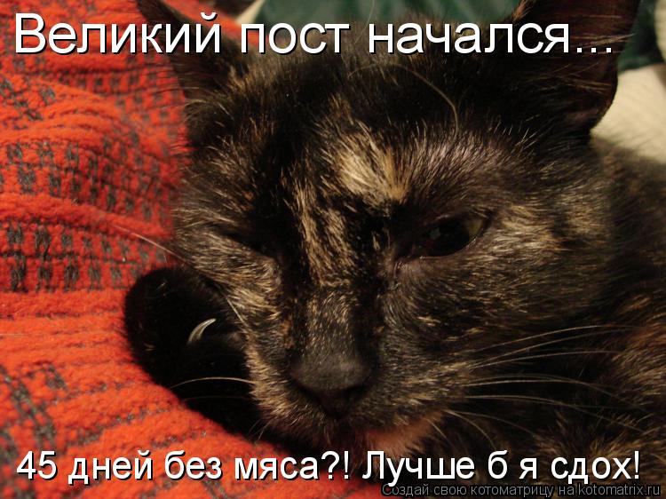 Великий пост начался... 45 дней без мяса?! Лучше б я сдох!... Котоматрица: Великий пост начался... 45 дней без мяса?! Лучше б я сдох!