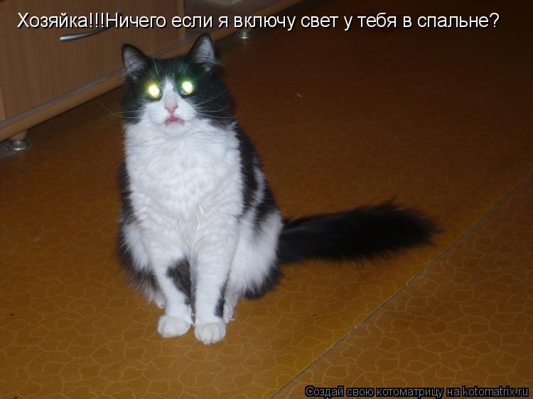 Хозяйка!!!Ничего если я включу свет у тебя в спальне?... Котоматрица: Хозяйка!!!Ничего если я включу свет у тебя в спальне?