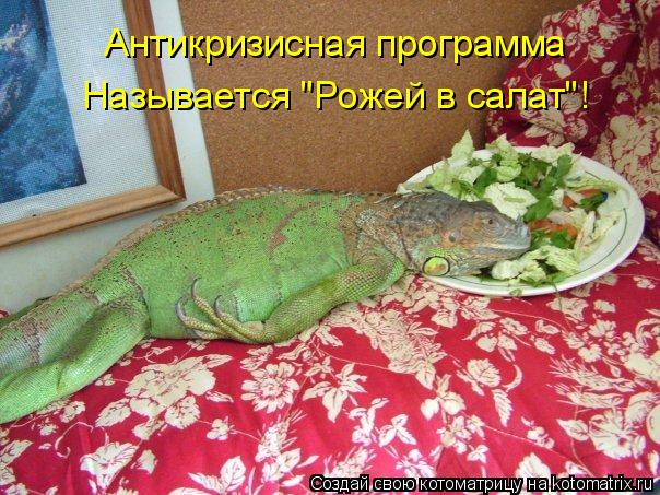 Антикризисная программа Называется "Рожей в салат"!... Котоматрица: Антикризисная программа Называется "Рожей в салат"!
