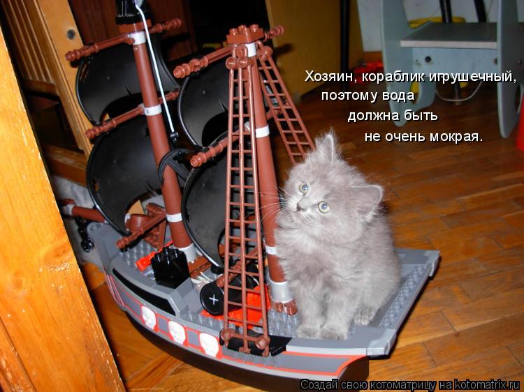 Котоматрица: Хозяин, кораблик игрушечный, поэтому вода  должна быть  не очень мокрая.