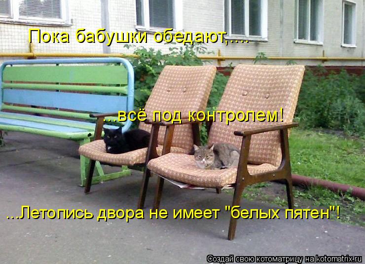 Пока бабушки обедают,.... ...всё под контролем! ...Летопись двора не имеет "белых пятен"!... Котоматрица: Пока бабушки обедают,.... ...всё под контролем! ...Летопись двора не имеет "белых пятен"!