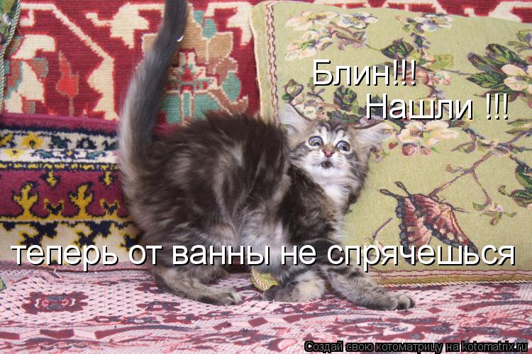 Блин!!! Нашли !!! теперь от ванны не спрячешься... Котоматрица: Блин!!! Нашли !!! теперь от ванны не спрячешься