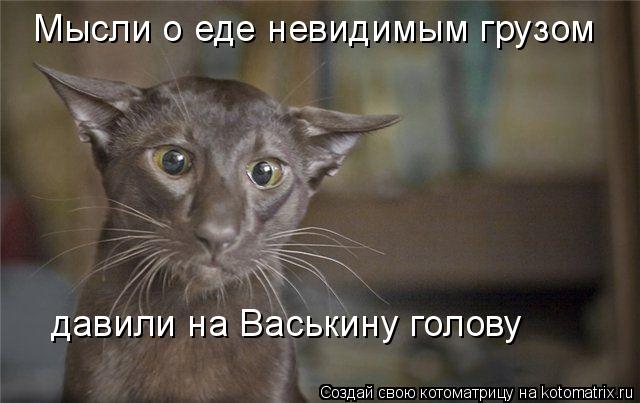 Котоматрица: Мысли о еде невидимым грузом  давили на Васькину голову