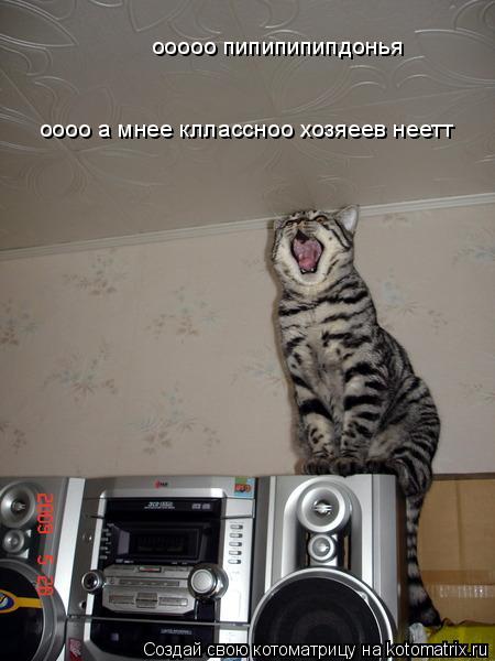 ооооо пипипипипдонья оооо а мнее кллассноо хозяеев неетт... Котоматрица: ооооо пипипипипдонья оооо а мнее кллассноо хозяеев неетт