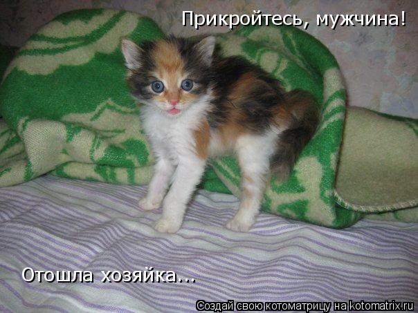 Прикройтесь, мужчина! Отошла хозяйка...... Котоматрица: Прикройтесь, мужчина! Отошла хозяйка...