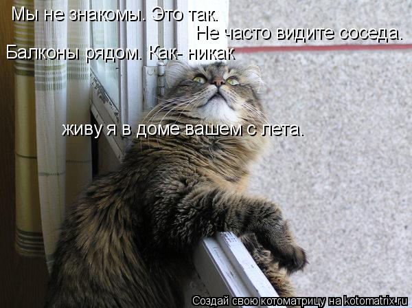 Мы не знакомы. Это так. Не часто видите соседа. Балконы рядом. Как- никак живу я в доме вашем с лета.... Котоматрица: Мы не знакомы. Это так. Не часто видите соседа. Балконы рядом. Как- никак живу я в доме вашем с лета.