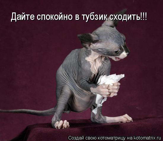 Дайте спокойно в тубзик сходить!!!... Котоматрица: Дайте спокойно в тубзик сходить!!!
