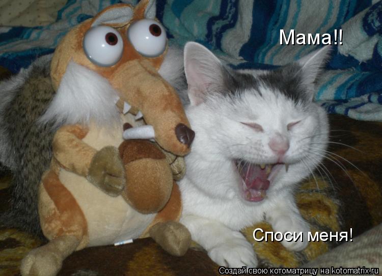 Споси меня! Мама!!... Котоматрица: Споси меня! Мама!!