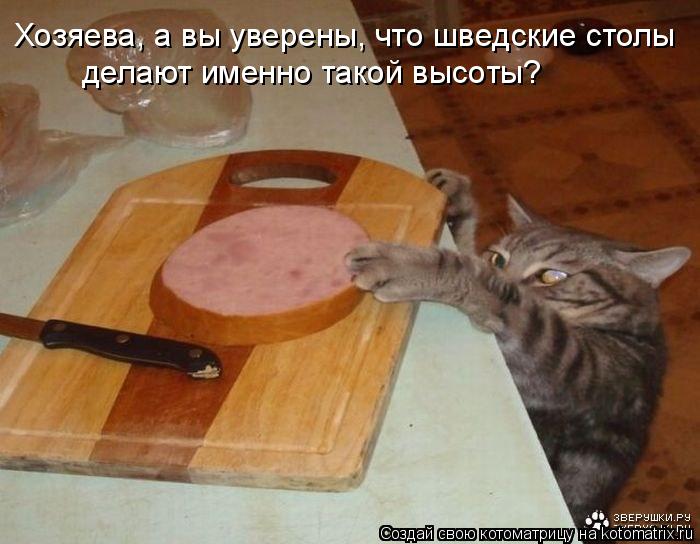 Хозяева, а вы уверены, что шведские столы делают именно такой высоты?... Котоматрица: Хозяева, а вы уверены, что шведские столы делают именно такой высоты?