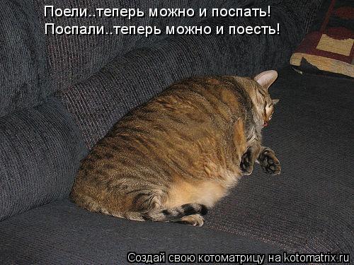 Поели..теперь можно и поспать! Поспали..теперь можно и поесть!... Котоматрица: Поели..теперь можно и поспать! Поспали..теперь можно и поесть!