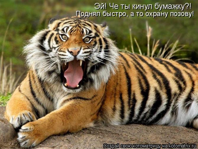 Эй! Че ты кинул бумажку?! Поднял быстро, а то охрану позову!... Котоматрица: Эй! Че ты кинул бумажку?! Поднял быстро, а то охрану позову!