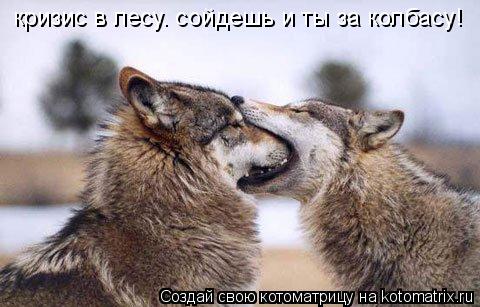 кризис в лесу. сойдешь и ты за колбасу!... Котоматрица: кризис в лесу. сойдешь и ты за колбасу!