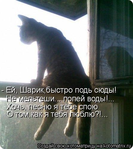 - Ей, Шарик,быстро подь сюды! Не мельтеши... попей воды!... Хочь, песню я тебе спою О том,как я тебя ... Котоматрица: - Ей, Шарик,быстро подь сюды! Не мельтеши... попей воды!... Хочь, песню я тебе спою О том,как я тебя люблю?!...