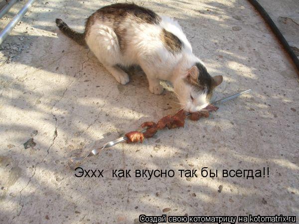 Эххх как вкусно так бы всегда!!... Котоматрица: Эххх как вкусно так бы всегда!!