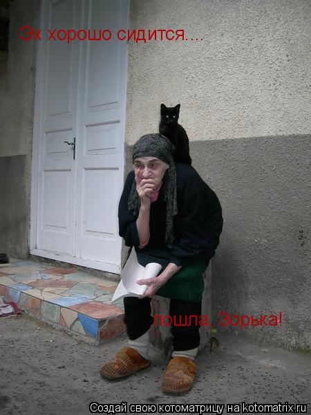 Эх хорошо сидится.... пошла, Зорька!... Котоматрица: Эх хорошо сидится.... пошла, Зорька!