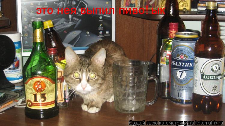 это нея выпил пиво! ык... Котоматрица: это нея выпил пиво! ык