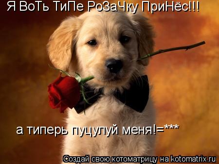 Я ВоТь ТиПе РоЗаЧку ПриНёс!!! а типерь пуцулуй меня!=***... Котоматрица: Я ВоТь ТиПе РоЗаЧку ПриНёс!!! а типерь пуцулуй меня!=***
