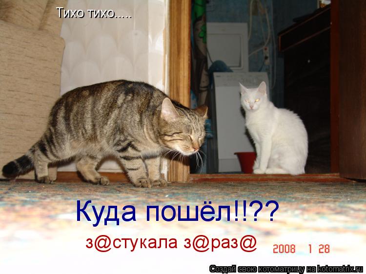 Котоматрица: Тихо тихо..... Куда пошёл!!?? з@стукала з@раз@