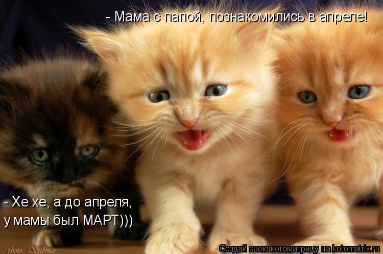 - Мама с папой, познакомились в апреле! - Хе хе, а до апреля, у мамы был МАРТ)))... Котоматрица: - Мама с папой, познакомились в апреле! - Хе хе, а до апреля, у мамы был МАРТ)))