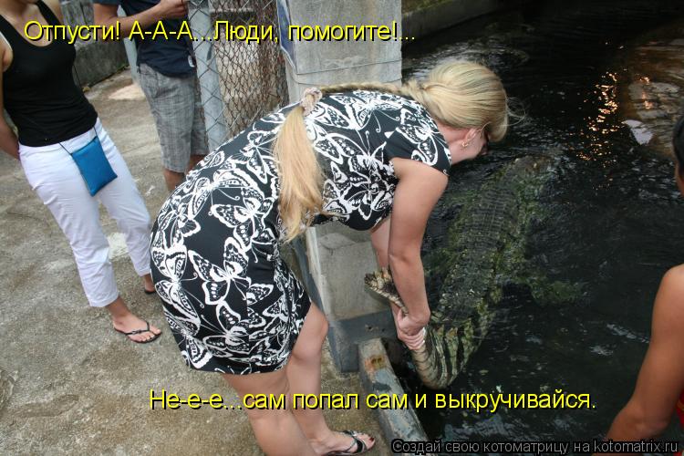 Отпусти! А-А-А...Люди, помогите!... Не-е-е...сам попал сам и выкручивайся.... Котоматрица: Отпусти! А-А-А...Люди, помогите!... Не-е-е...сам попал сам и выкручивайся.
