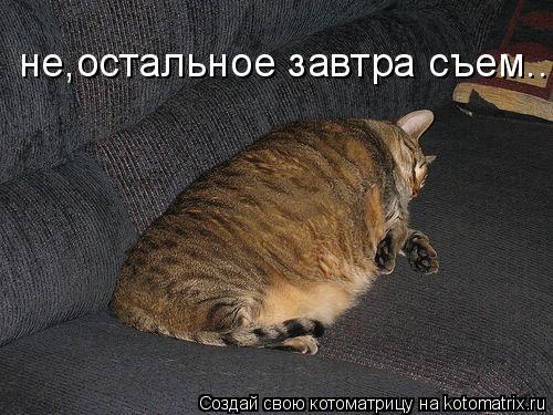 не,остальное завтра съем...... Котоматрица: не,остальное завтра съем...