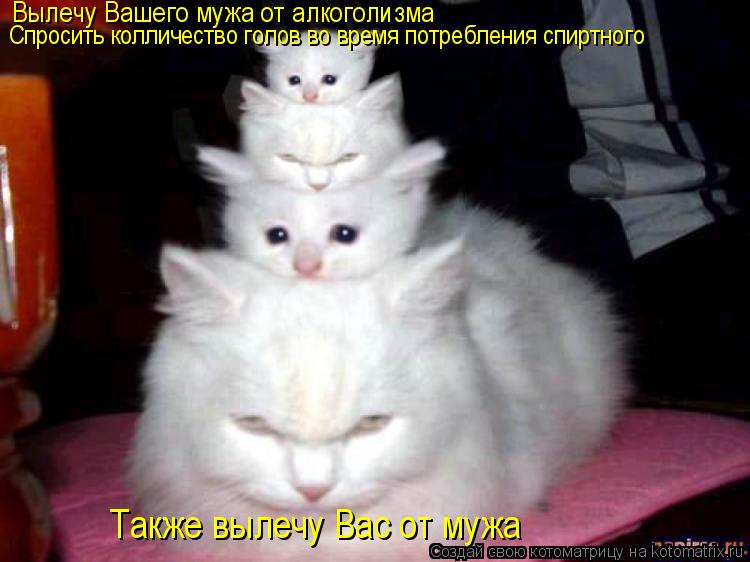 Спросить колличество голов во время потребления спиртного Вылечу Вашего мужа от алкоголизма Также выл... Котоматрица: Спросить колличество голов во время потребления спиртного Вылечу Вашего мужа от алкоголизма Также вылечу Вас от мужа