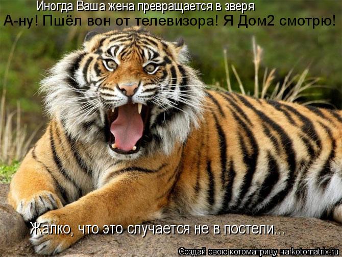 Иногда Ваша жена превращается в зверя А-ну! Пшёл вон от телевизора! Я Дом2 смотрю! Жалко, что это слу... Котоматрица: Иногда Ваша жена превращается в зверя А-ну! Пшёл вон от телевизора! Я Дом2 смотрю! Жалко, что это случается не в постели...