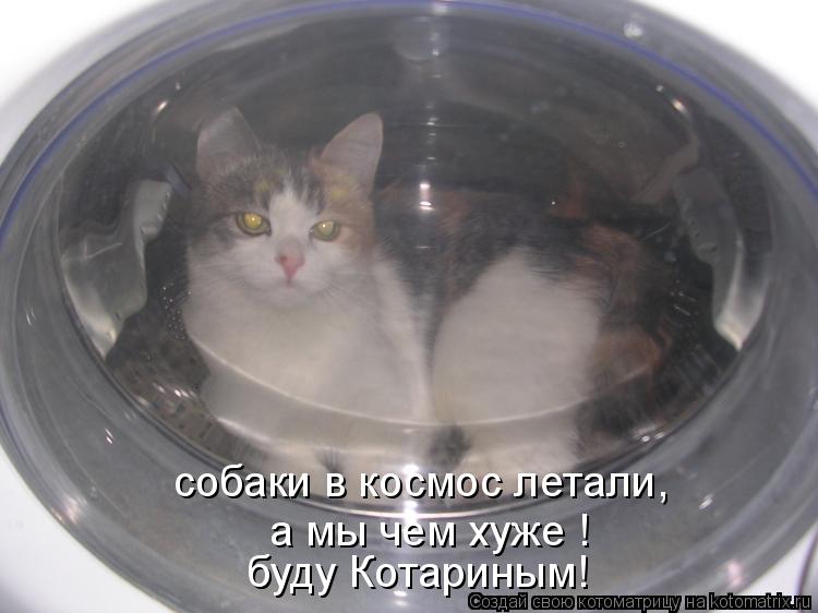 Котоматрица: собаки в космос летали, а мы чем хуже ! буду Котариным!