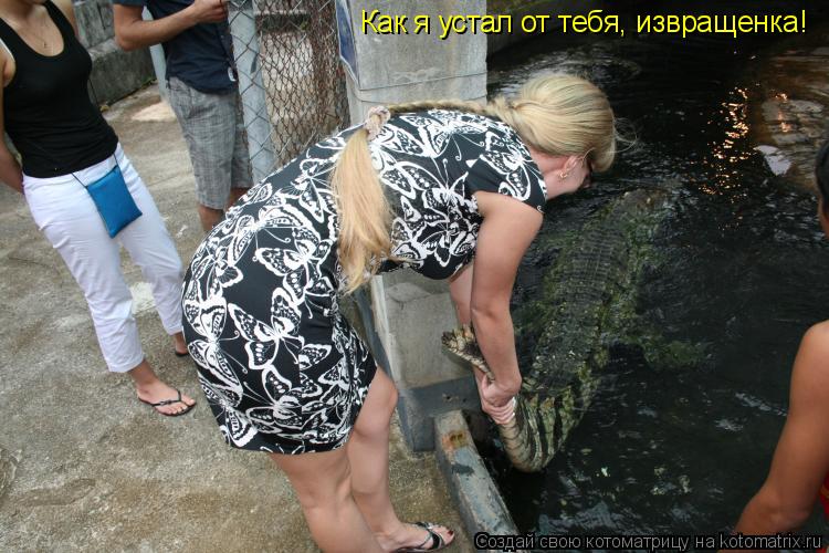 Как я устал от тебя, извращенка!... Котоматрица: Как я устал от тебя, извращенка!