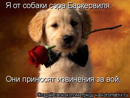 Я от собаки сэра Баскервиля. Они приносят извинения за вой.... Котоматрица: Я от собаки сэра Баскервиля. Они приносят извинения за вой.