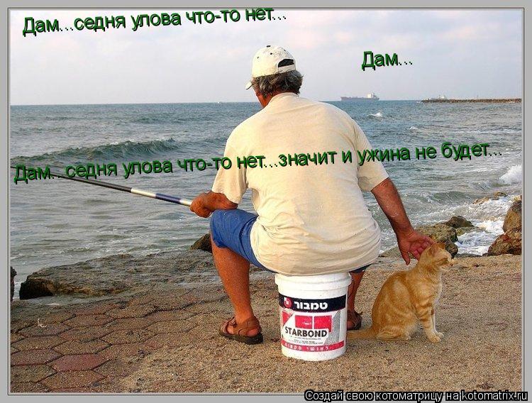 Дам... Дам...седня улова что-то нет... Дам...седня улова что-то нет...значит и ужина не будет...... Котоматрица: Дам... Дам...седня улова что-то нет... Дам...седня улова что-то нет...значит и ужина не будет...