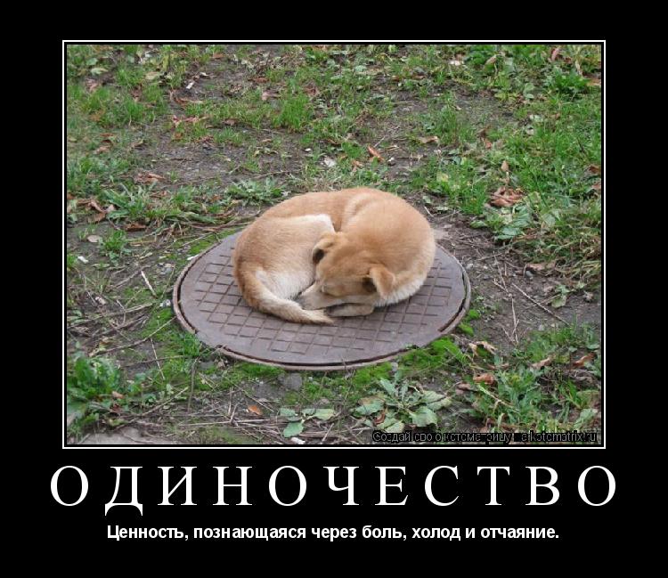 Одиночество Ценность, познающаяся через боль, холод и отчаяние.... Котоматрица: Одиночество Ценность, познающаяся через боль, холод и отчаяние.