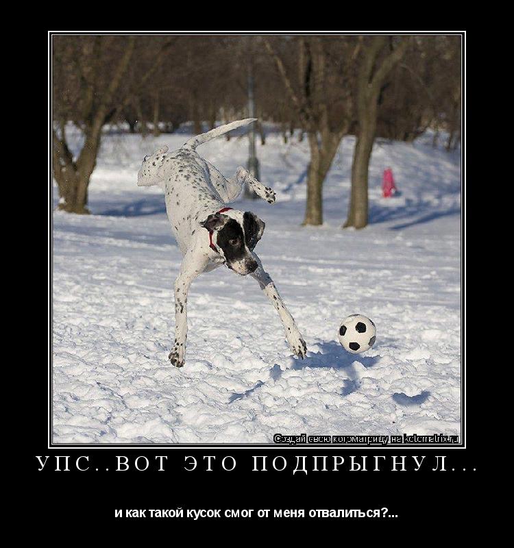 упс..вот это подпрыгнул... и как такой кусок смог от меня отвалиться?...... Котоматрица: упс..вот это подпрыгнул... и как такой кусок смог от меня отвалиться?...