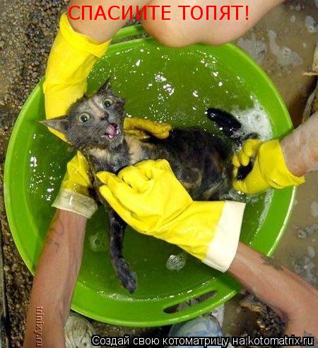 СПАСИИТЕ ТОПЯТ!... Котоматрица: СПАСИИТЕ ТОПЯТ!